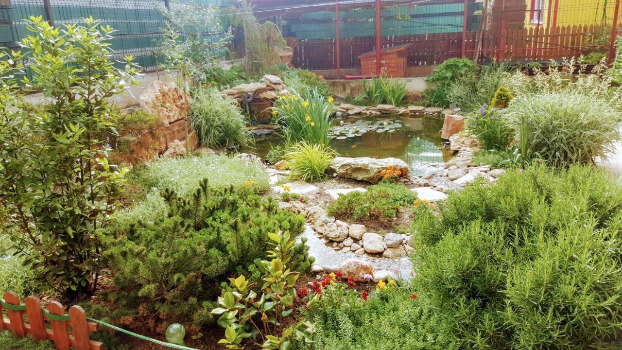 Villa Sanitas Techirghiol Zewnętrze zdjęcie