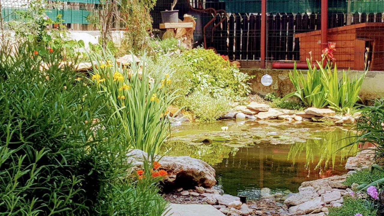Villa Sanitas Techirghiol Zewnętrze zdjęcie