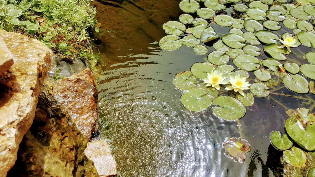 Villa Sanitas Techirghiol Zewnętrze zdjęcie